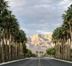 Las Vegas mountains palm trees